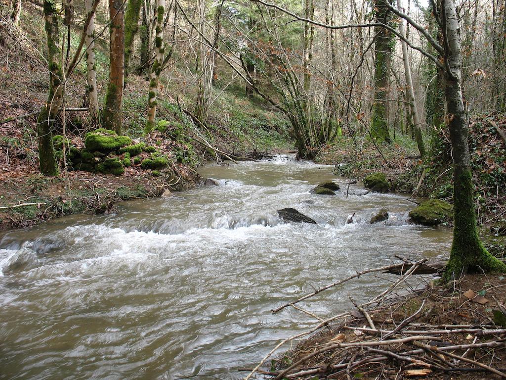 Le Moulin Du Barthas Panzió Montredon-Labessonnié Kültér fotó