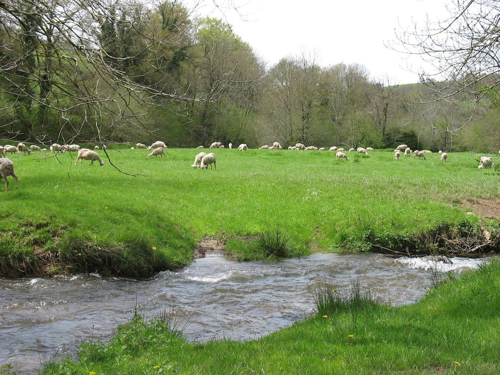 Le Moulin Du Barthas Panzió Montredon-Labessonnié Kültér fotó