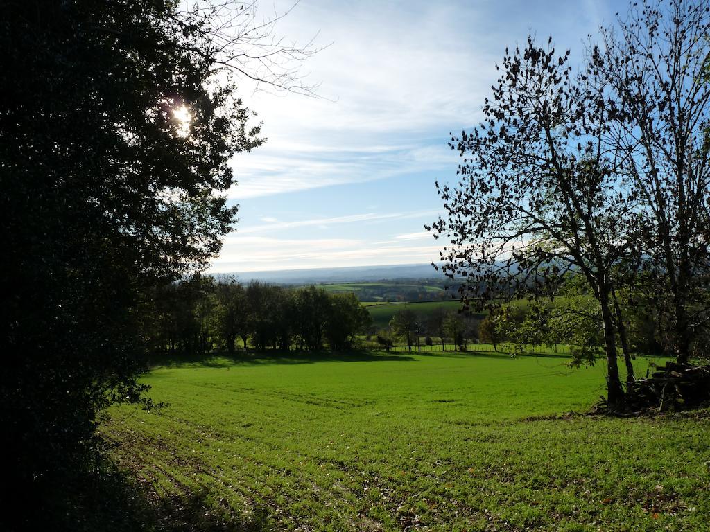 Le Moulin Du Barthas Panzió Montredon-Labessonnié Kültér fotó